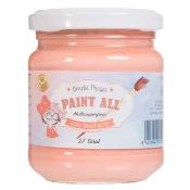 Pintura Multisuperficie " Paint All" 27 coral- 180 ml.