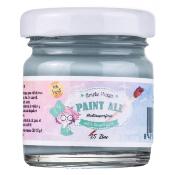Pintura Multisuperficie " Paint All" 25 zinc - 30 ml.