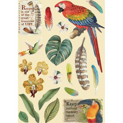 Apliques de madera Stamperia A5 Amazonia parrot