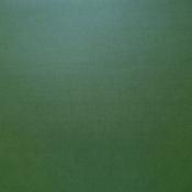 cartulina Perlada Dark Green Scrapberrys 30X30  216 gr