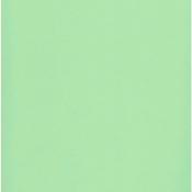 cartulina textura lienzo 216 grs. Pastel Green