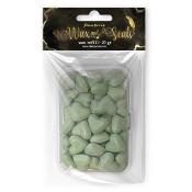 Repuesto de cera 20 grs. Heart Pastel Mint